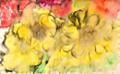 Detailansicht: Sommerblumen